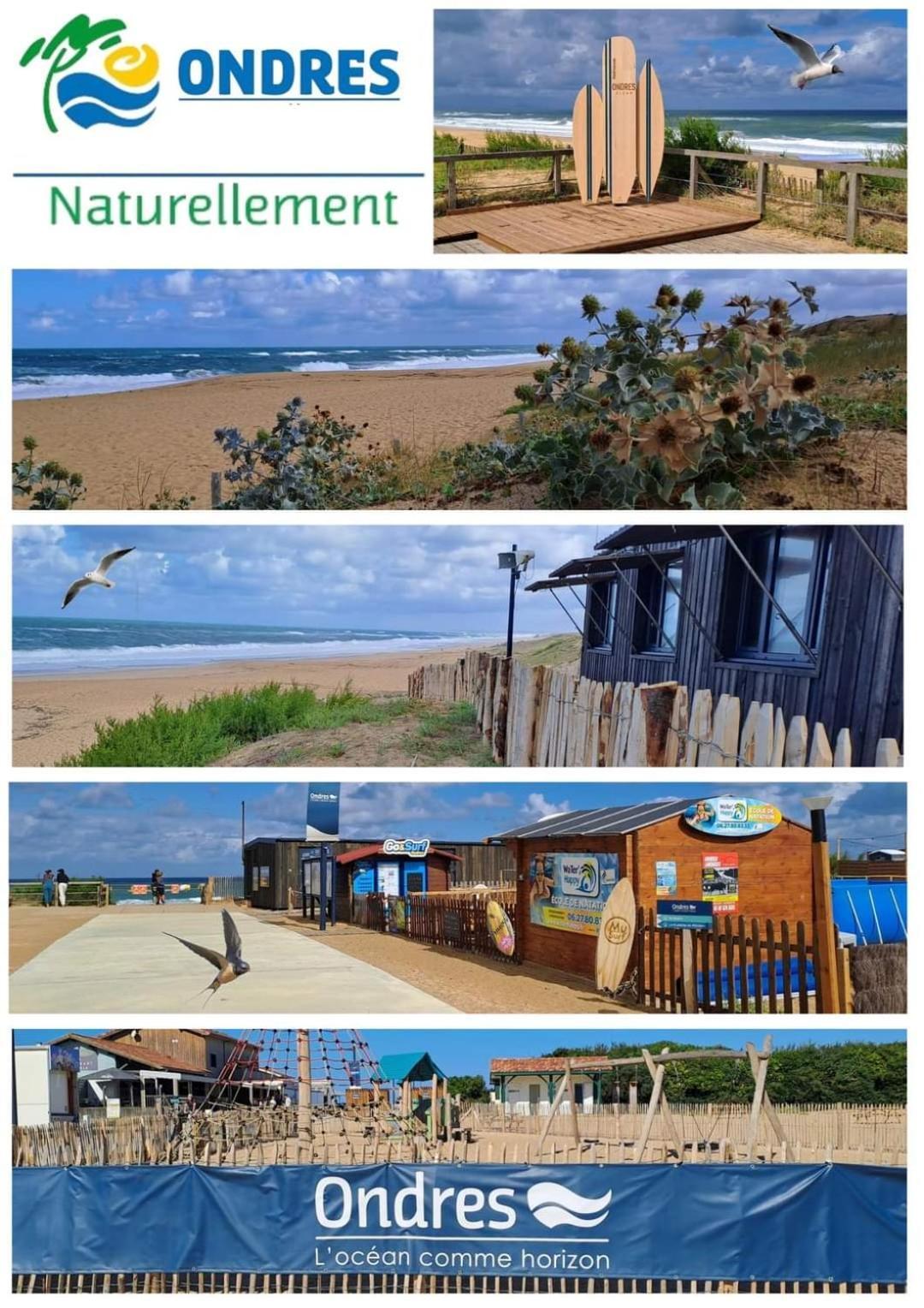 T2 Antigua Ondres Plage Avec Piscine Et Tennis Buitenkant foto